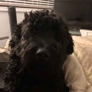 Meet your Posher, Carly